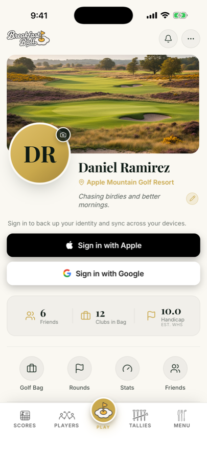 Player profile